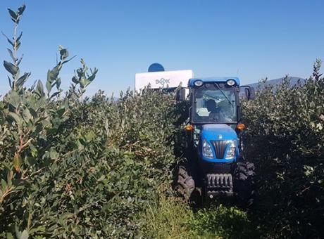 Машина для збирання ягід BSK Kokan 500S