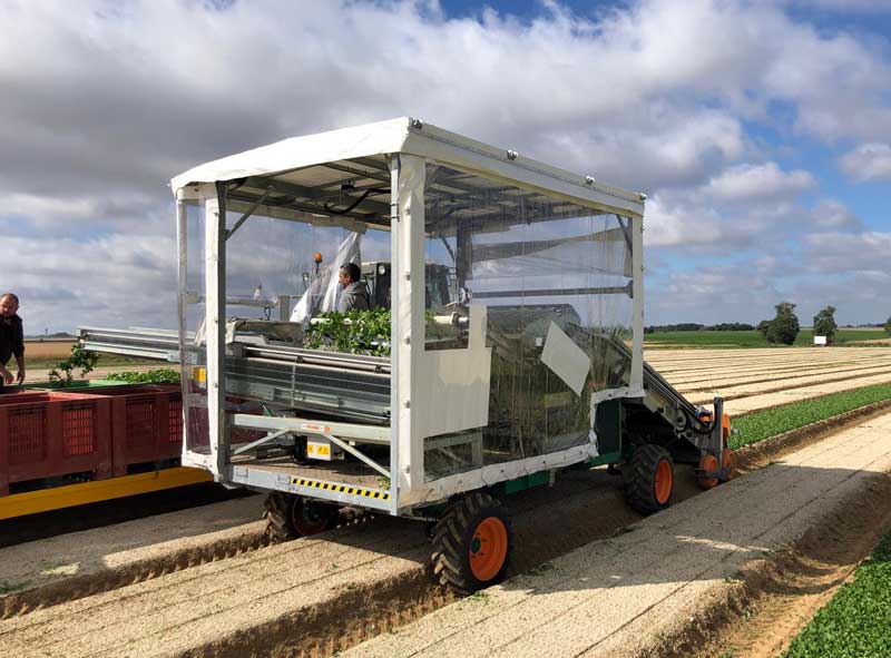 Самохідний повнопривідний комбайн для збору салатів Ortomec Herbex 8300