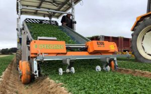 Самохідний повнопривідний комбайн для збору салатів Ortomec Herbex 8300