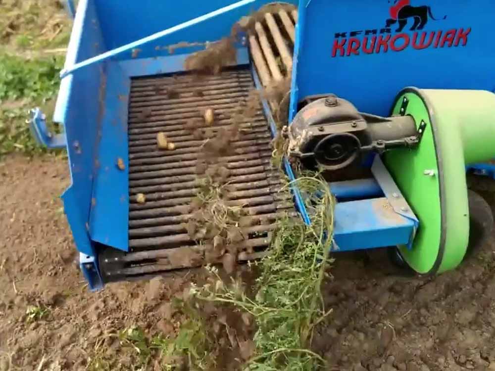 Картоплекопач Krukowiak PYRUS Z653/2